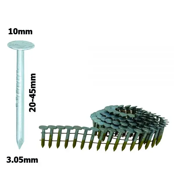 Co-Fastening GRN31202 Clous pour asphalte (clous pour toiture) Anneau galvanisé - 3.05x20mm