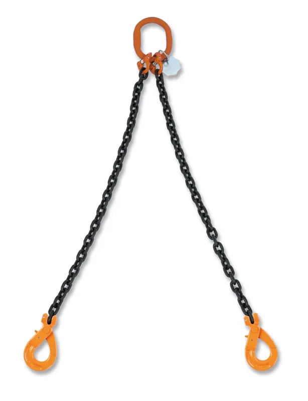 Beta 080920203 Chaîne de 3 mètres 2 sauts avec crochets à fermeture automatique 1,6 tonnes