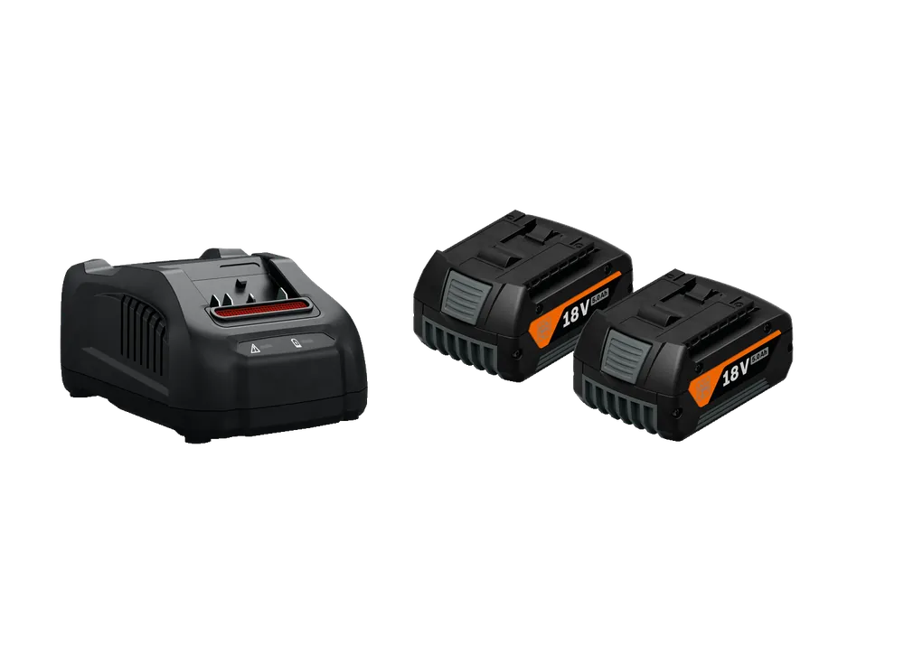 Fein Accessoires 92604246010 Pack de 2 Batteries 18 V GBA 5 AH AMPSHARE