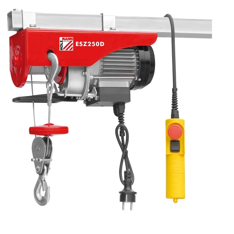 Holzmann ESZ250D_230V Palan électrique 250 kg