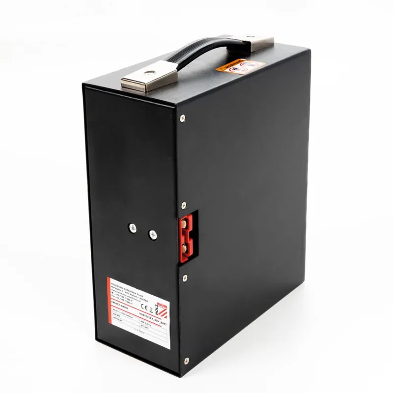 Holzmann HUB15FLEX_48V_BATT Batterie de remplacement