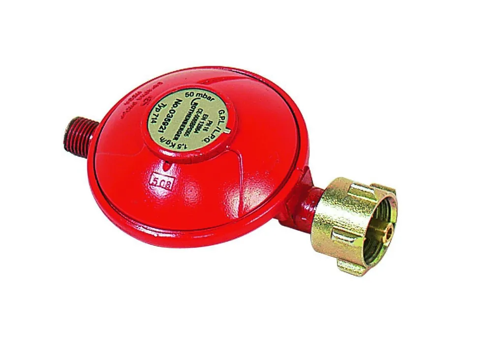 Rothenberger Industrial ROT035921E Contrôleur de pression constante au propane 50 mbar