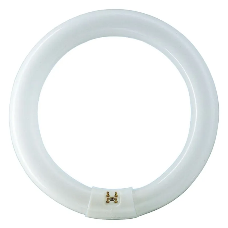 Philips P840506 Master TL-E Lampe circulaire 22 watts G10q