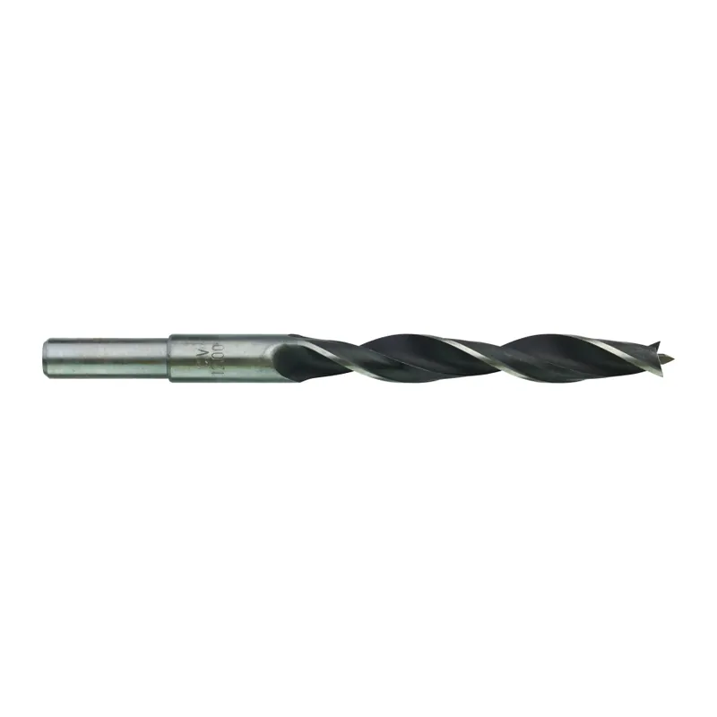 Milwaukee Accessoires 4932363660 Foret à bois 12 x 151 mm
