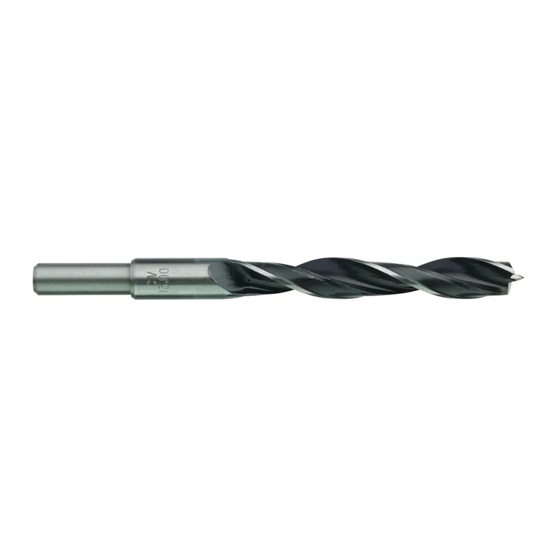 Milwaukee Accessoires 4932363661 Foret à bois 13 x 151 mm