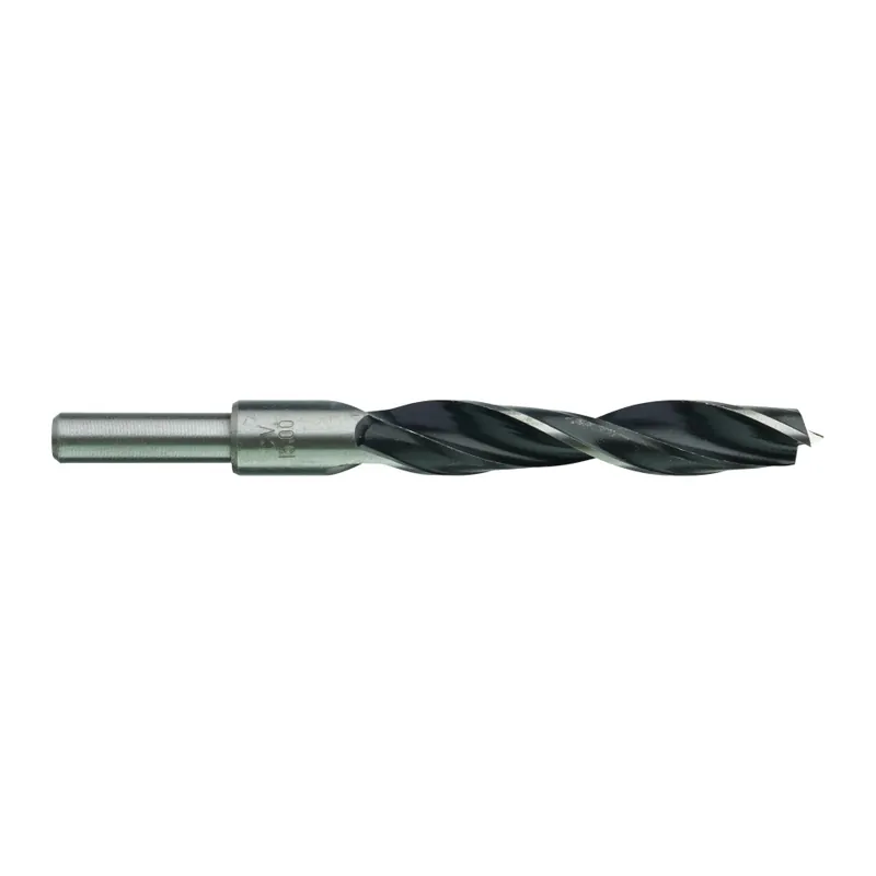 Milwaukee Accessoires 4932363663 Foret à bois 15 x 151 mm