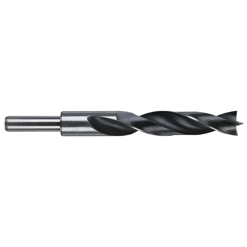 Milwaukee Accessoires 4932363664 Foret à bois 16 x 151 mm