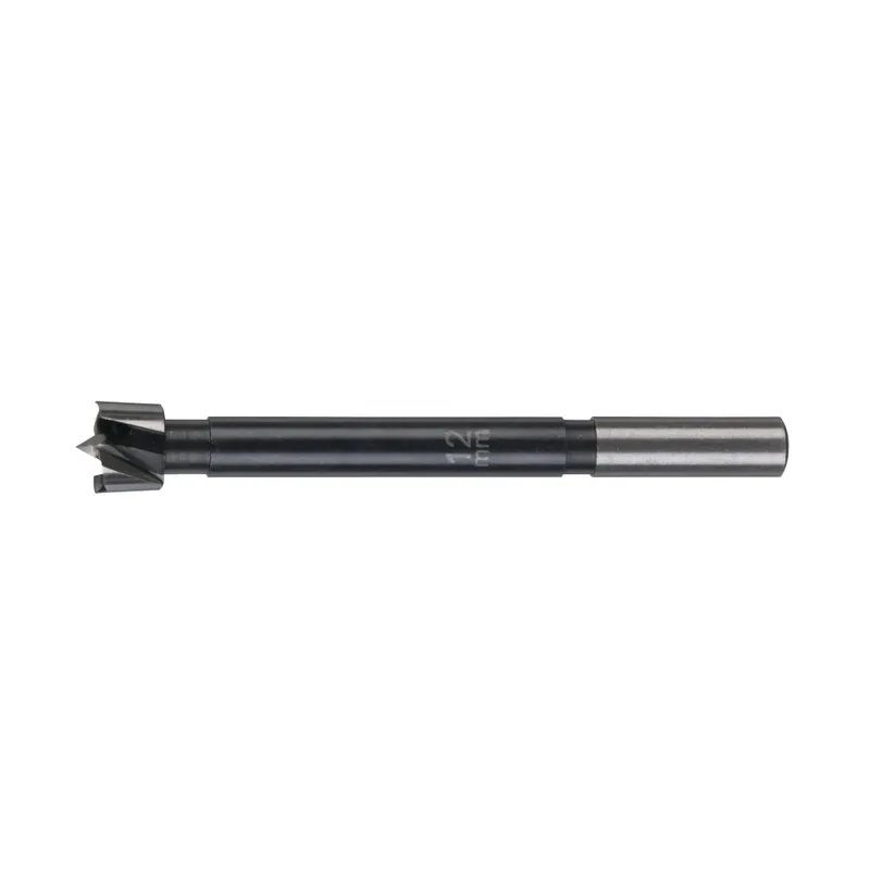 Milwaukee Accessoires 4932363704 Mèche pour trou de charnière 12 x 90 mm