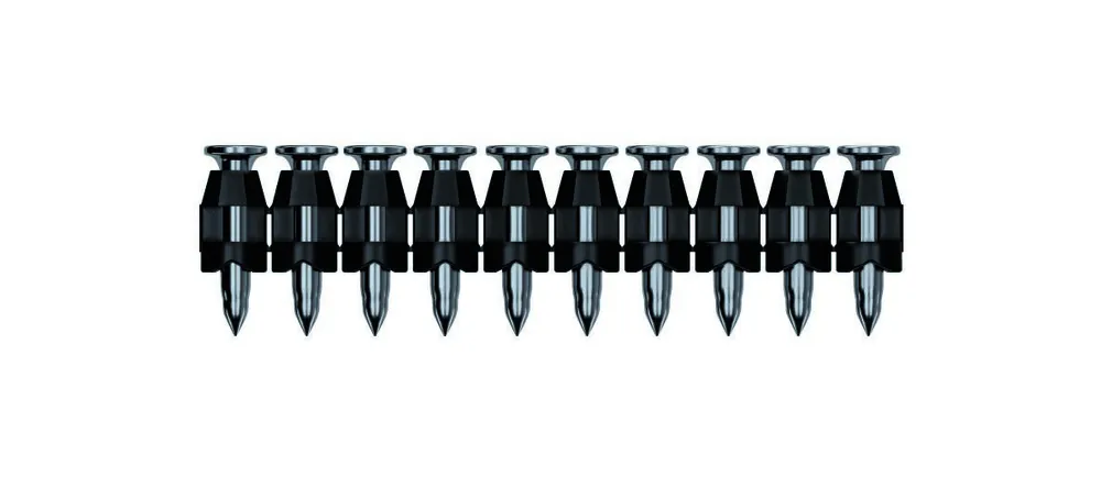 Bosch Bleu Accessoires 1600A02F4U Clous en acier 19 mm pour GNB 18V-38 1000 pièces