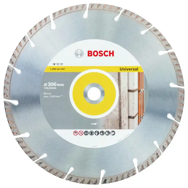 Bosch Bleu Accessoires 2608615067 Disque STD Universel 300x22.23