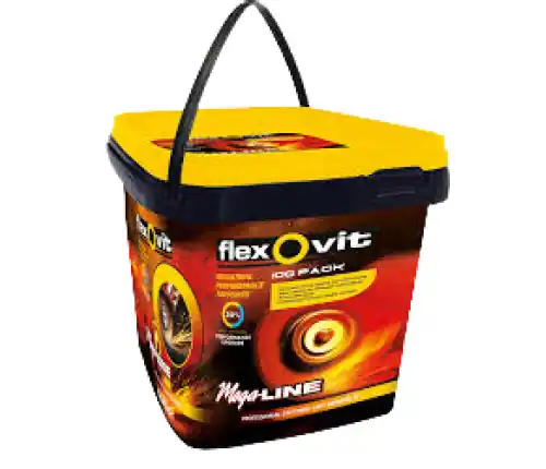 Flexovit 66252848796 Mega Line Disques à tronçonner 125 x 1 mm 100+10 pièces