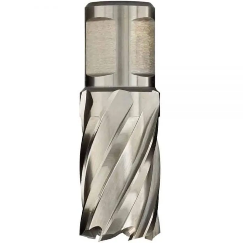 Euroboor 21003002501004 HCS.250 Carotteuse, HSS, D 25 mm, DoC 30 mm, Weldon