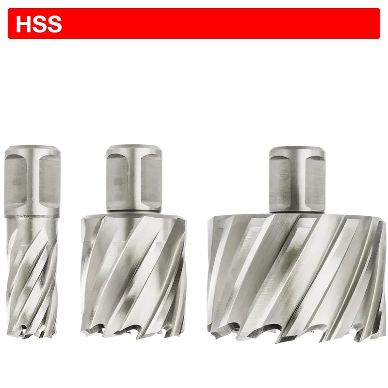 Euroboor 21005502001004 HCL.200 Carotteuse, HSS, D 20 mm, DoC 55 mm, Weldon
