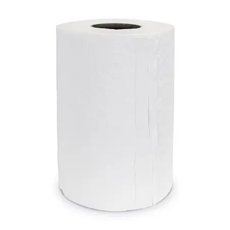 Agealube 25.3102 Mini-rouleau d‘essuie-tout (21 cm x 130 m), 12 pièces