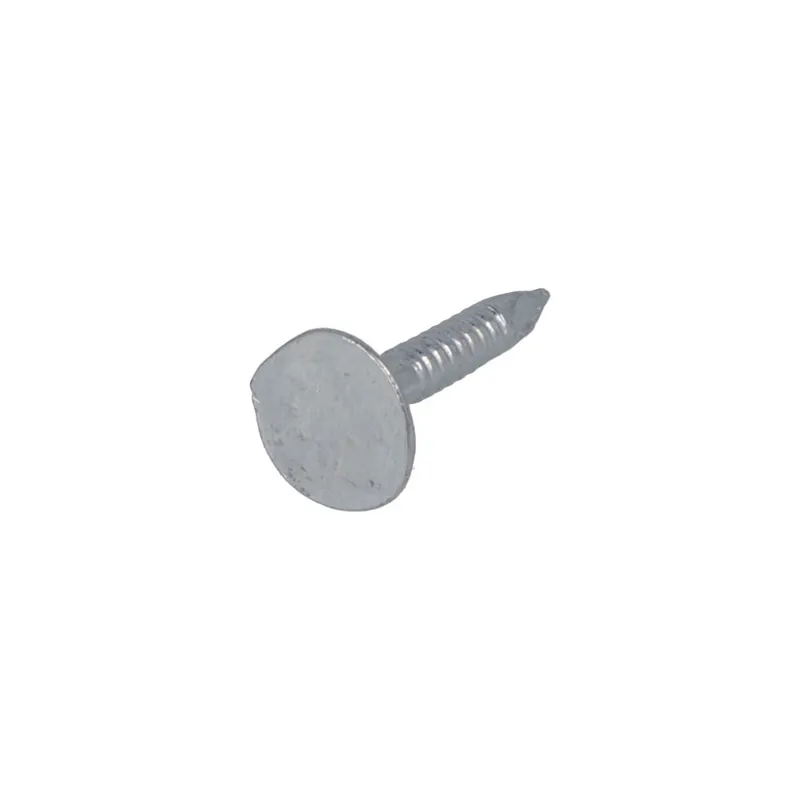 Proftec 5592.01.02210 Clou pour asphalte VZ PK 3.0 x 15 mm - 1 kg