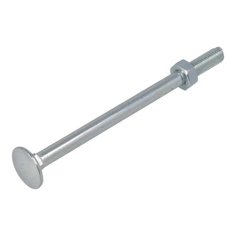 Proftec 5390.01.49601 Boulon de blocage + Ecrou VZ 4.8 DIN603/555 M6 x 40 mm - 50 pièces