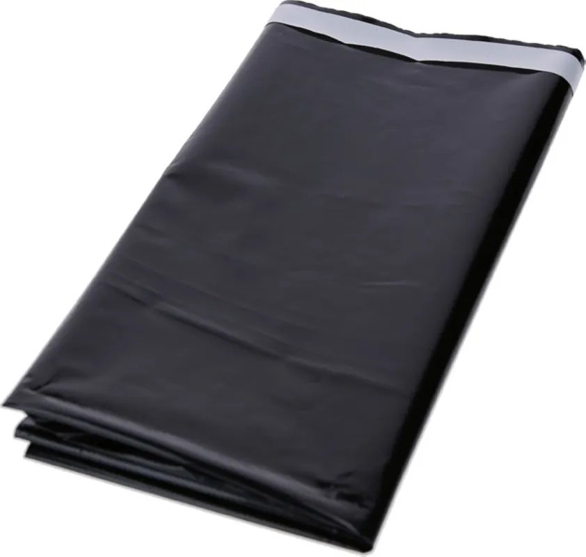 Bosch Bleu Accessoires 2608000773 Sac à poussière jetable 265x125x12mm