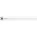 Philips P444355 Tube LED T8 600mm 8W G13