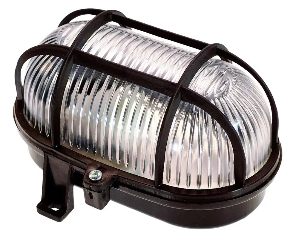 Schwabe 56111 Lampe Bulleye E27 noire IP44 60W