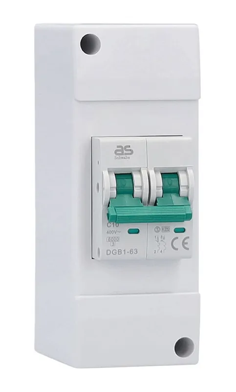 Schwabe 61564 Disjoncteur de camping 230V 10A avec LS C10 A 2 pôles