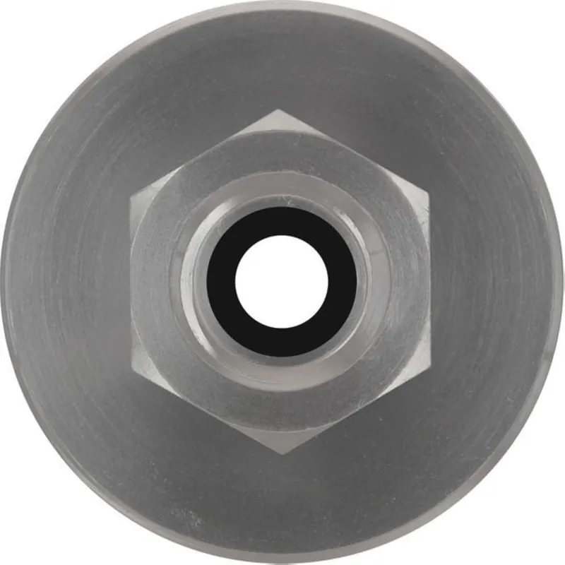 Bosch Bleu Accessoires 2608001205 PRO Adaptateur pour pistolet à graisse cartouche à visser de 500 g