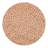 Rokamat 23205 Disque de ponçage en carbure ø200 moyen