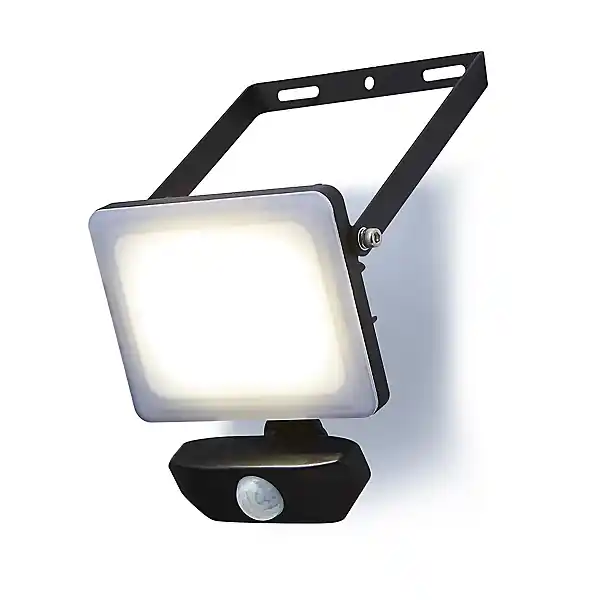 Stanley SXLS38694E Projecteur IK 30W avec capteur